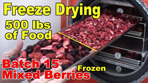 Freeze Drying Your First 500 lbs of Food - Batch 15 - Mixed Berries, Frozen
