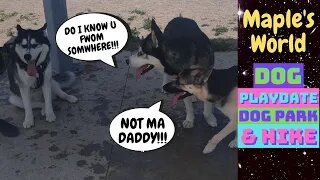 Dog Doppelganger At Dog Park + Hike | Maples Day With Her Husky Dad