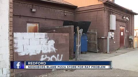 Rat infestation in Redford blamed on Little Caesars Pizza location