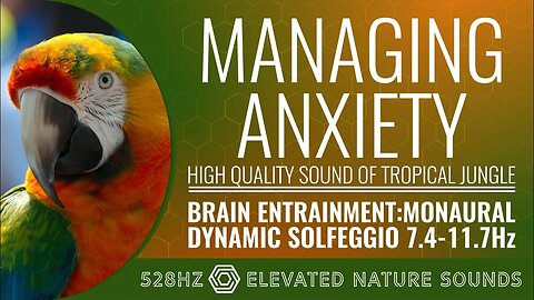 Managing Anxiety With 528Hz Monaural BWE Dynamic Alpha 7.4-11.7Hz With HQ Sounds Of Tropical jungle