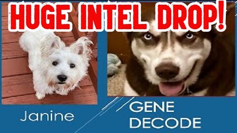 Gene Decode & Janine: Huge Intel Drop!