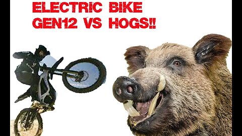 ELECTRIC BIKE + GEN12 = HOGS UP CLOSE AND PERSONAL!