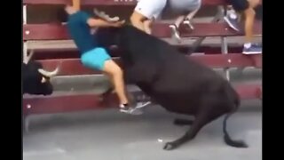 Man Takes BRUTAL Hit from Bull
