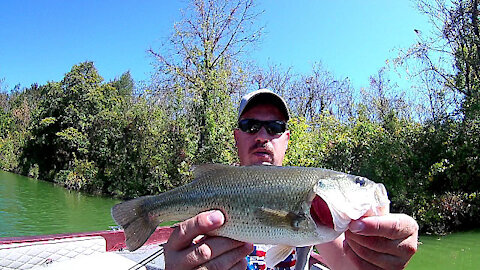 Blue Marsh Lake Fishing for Largemouth Bass