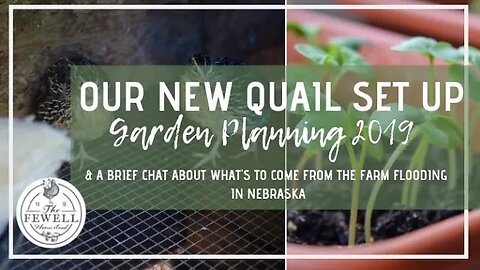 Our New Quail Set Up & Planning Our Garden