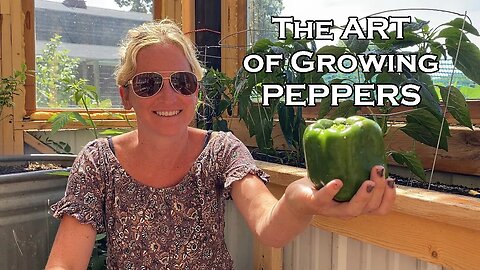 An Honest View of Growing Peppers