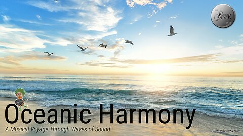 The Larry Seyer Show - Oceanic Harmony
