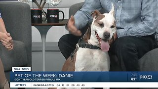 Pet of the Week: Danie