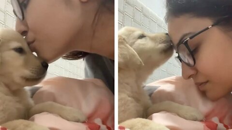 Cute Puppy Kisses Owner On Forehead While Lying on the Bed