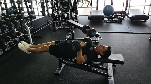 Dumbbell Larsen Press (Straight Leg Chest Press)