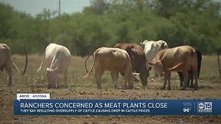Ranchers concerned as meat plants close across country