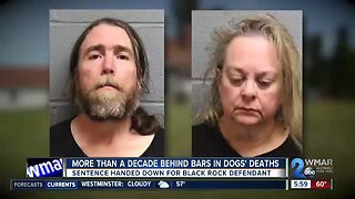 More than a decade behind bars in dogs' deaths
