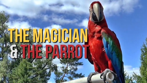 The Magician and the Parrot