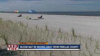 Red tide bloom may be moving away from Pinellas County