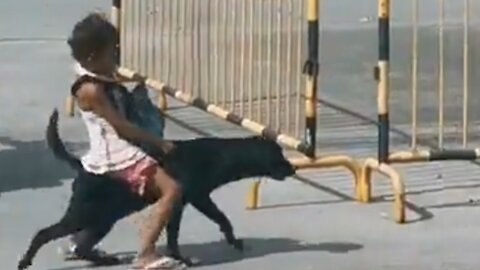 Little girl rides her dog home in Phlippines