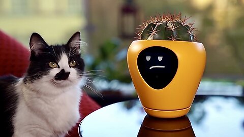 Smart Planter With Emotions Tells You What Your Plant Needs - Lua Planter