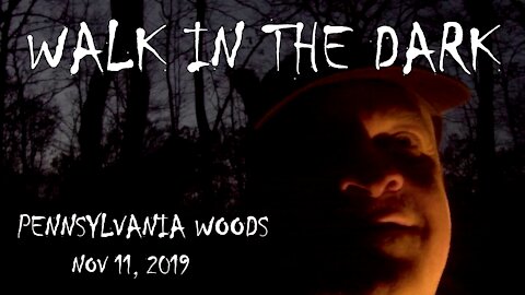 Walk in the Dark - Pennsylvania Woods - 11/11/2019