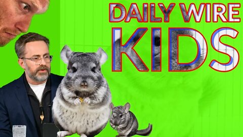 DAILY WIRE KIDS Huge Announcement!
