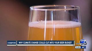 If climate change cuts into barley harvests, expect to pay double for your beer