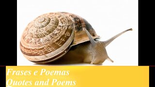 You are a snail: Lives inside of house, stick to the others! [Quotes and Poems]