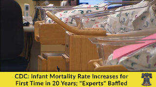 CDC: Infant Mortality Rate Increases for First Time in 20 Years; "Experts" Baffled