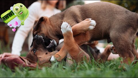 The Hidden World of Pets: Your Path to Happiness! 🌍 Pets Class Part 136