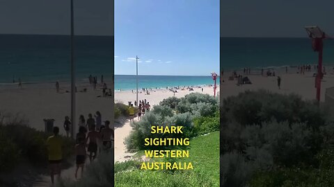 SHARK ALARM WESTERN AUSTRALIA | Get in the Water #shark #alarm #babyshark