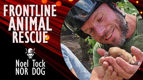 Noel Tock - Animal Rescuer at NOR DOG - Helping Animals that lost Everything during the Ukraine War.
