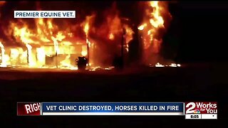 Vet clinic destroyed, horses killed in fire