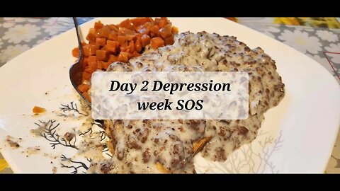 Day 2 Depression week SOS #depressioncooking #hamburger #gravy