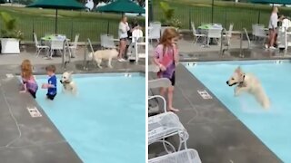 Happy Pup Is Absolutely Ecstatic For First Pool Party