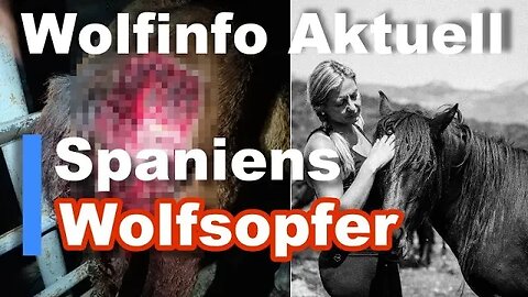 Wolfinfo Aktuell 108 ( Spaniens Wolfsopfer: Pferde )