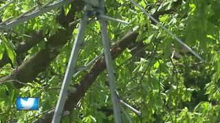 Severe thunderstorm hits Oconto County community