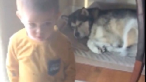 Caring toddler tells his dog "I Love You" before leaving