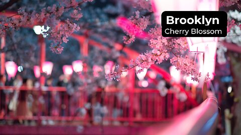 Brooklyn Cherry Blossom