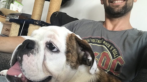 Bulldog unimpressed with owner's taste in music