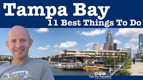 The 11 best thing to do in Tampa Bay, Florida