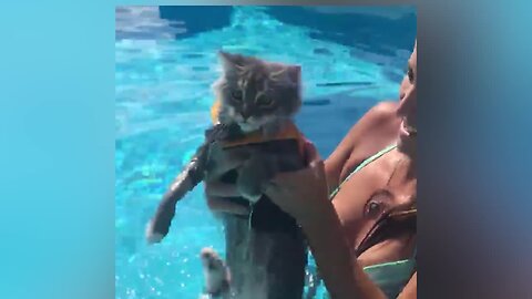 Pets Learn to Swim