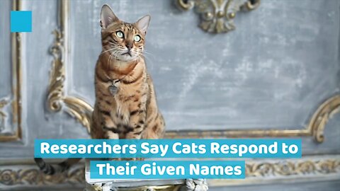 Cats Know Their Given Names