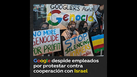 Google despide a 28 empleados por amotinarse contra la cooperación con Israel