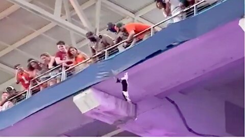 Quick-thinking fans save falling cat at Miami football game