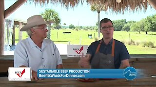 Can Beef Be Sustainable? // Beef It's What's For Dinner