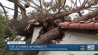 The aftermath of the storm throughout the Valley