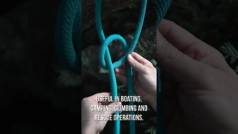 How to Tie the World's MOST USEFUL Knot (Bowline) #shorts #shortsvideo