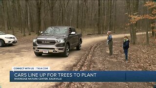 Cars line up for trees to plant on Arbor Day