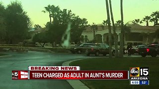 Teen charged as adult in aunt's murder