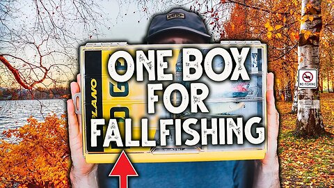 ONE TACKLE BOX FOR FALL BASS FISHING???