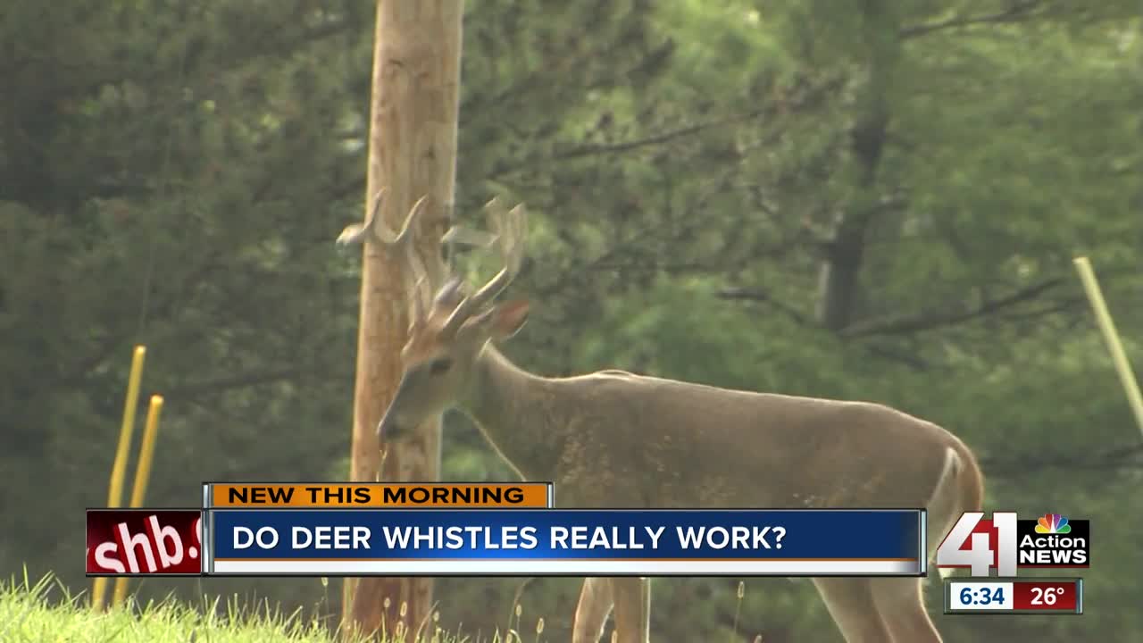 Do deer whistles really work?