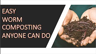 Easy Worm Composting You Can Start Today