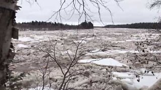 Arctic ice flows through Canadian river